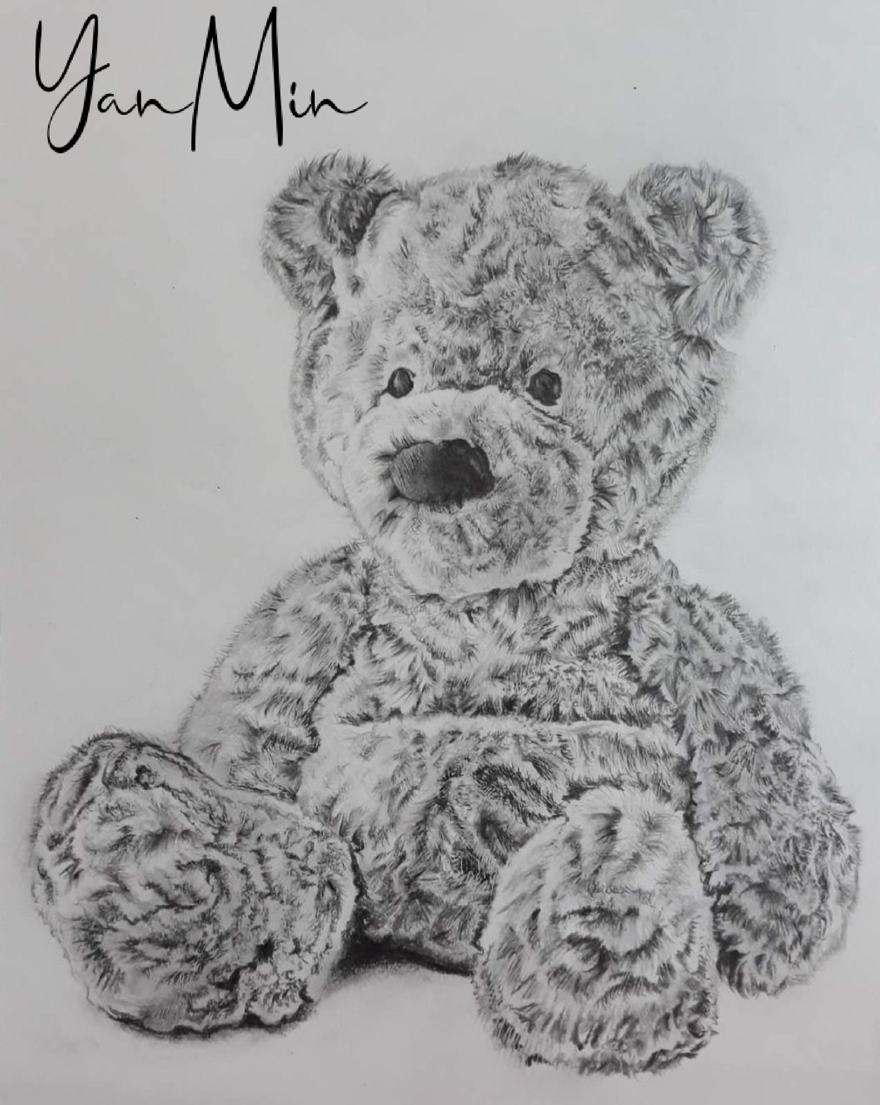 Teddy Sketching